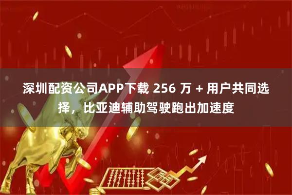 深圳配资公司APP下载 256 万 + 用户共同选择，比亚迪辅助驾驶跑出加速度