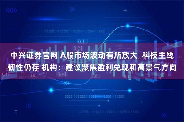中兴证券官网 A股市场波动有所放大  科技主线韧性仍存 机构：建议聚焦盈利兑现和高景气方向